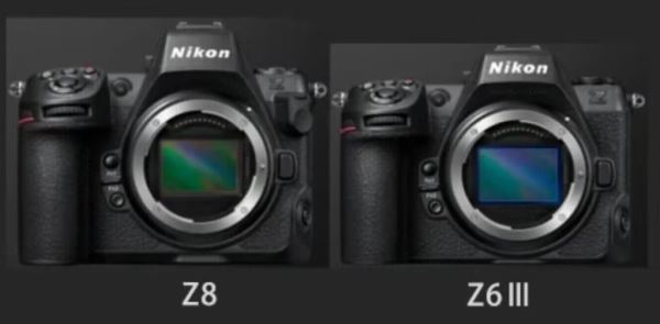 Раскрыты спецификации Nikon Z6 Mark III