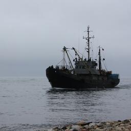 Вопросами рыбного хозяйства в Приморье будет заниматься управление