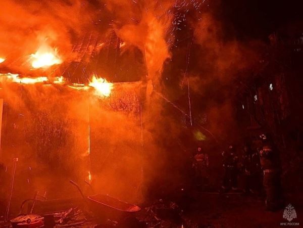 В сгоревшем на Сахалине частном доме погибли коты, собак спаслиВладельцы частного дома и их собаки смогли выбраться из загоревшегося строения.