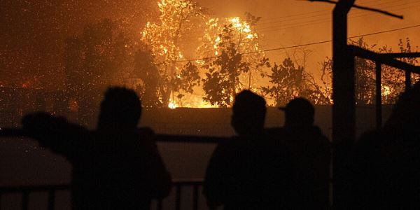 В Чили число жертв пожаров достигло 19