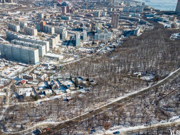 Во Владивостоке отдают два гектара леса под швейный цех для СВОЖители были против застройки этой части города. Власти пообещали не трогать. Но вдруг свои обещания взяли обратно.